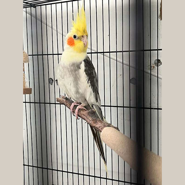 Photo of Steven