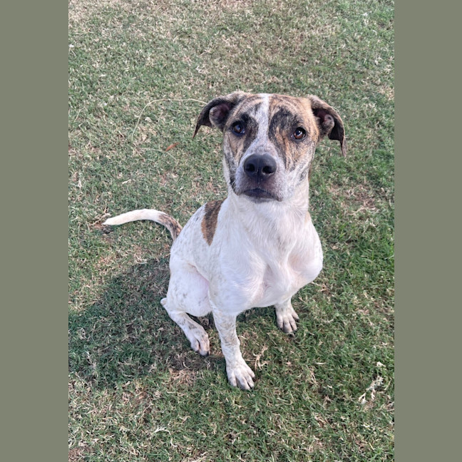 Photo of Diamond
