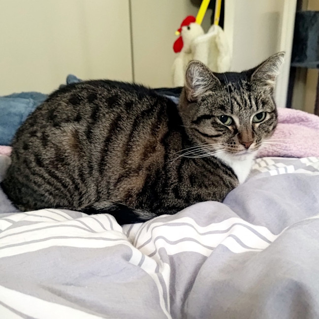 Photo of Louise Sta012467