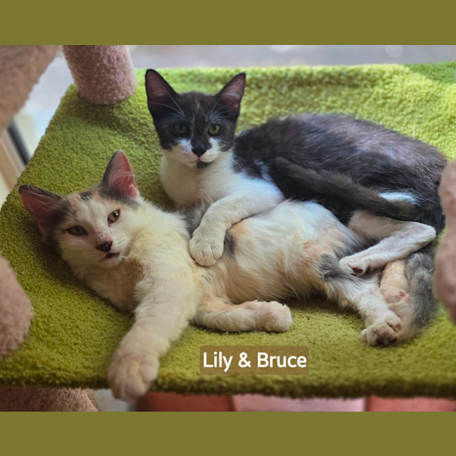 Photo of Bruce