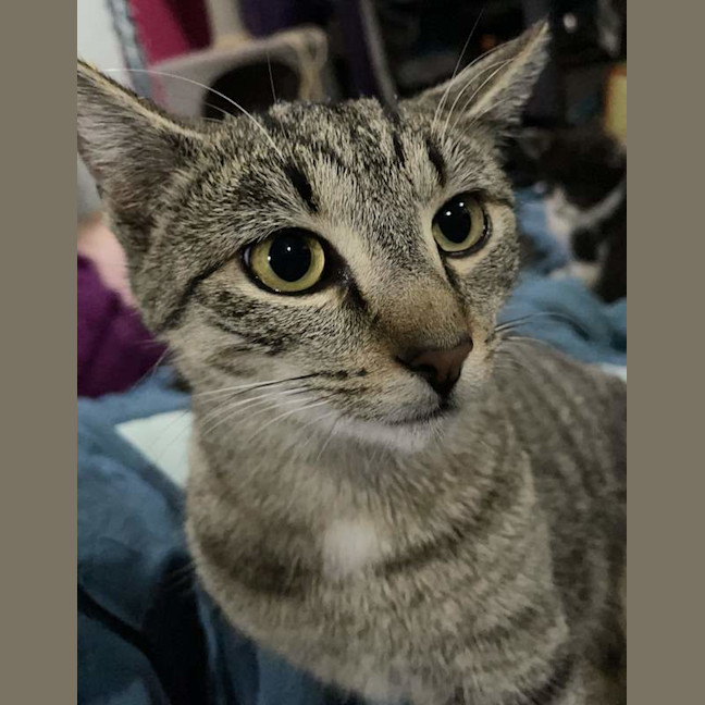 Photo of Bonnie