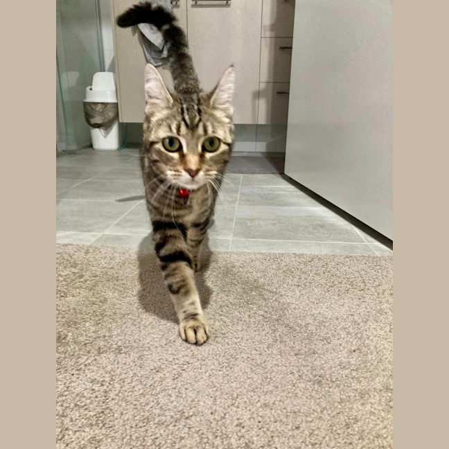 Photo of Luna