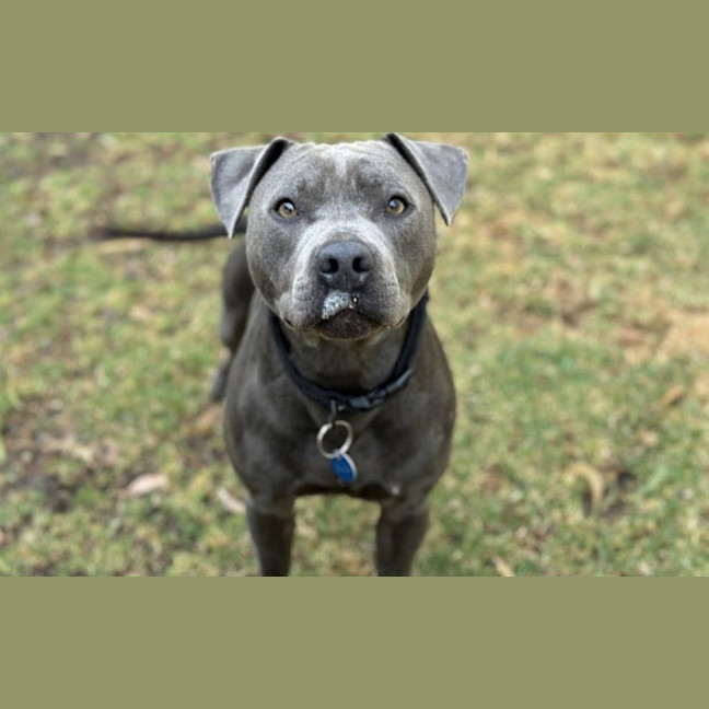 Photo of Hercules