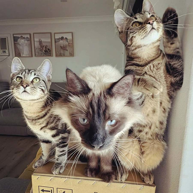 Photo of Peter & Griffin 