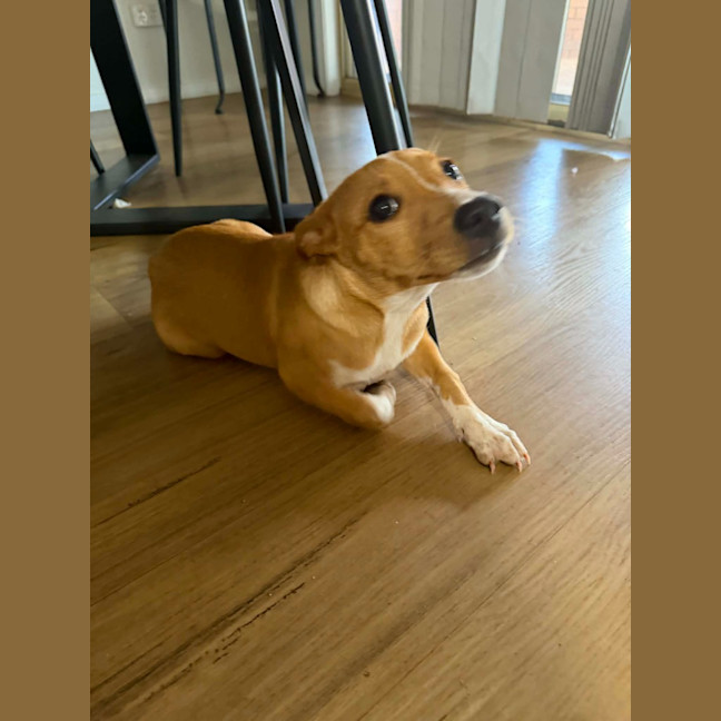 Photo of Hollie Wood