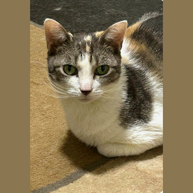 Photo of Vera