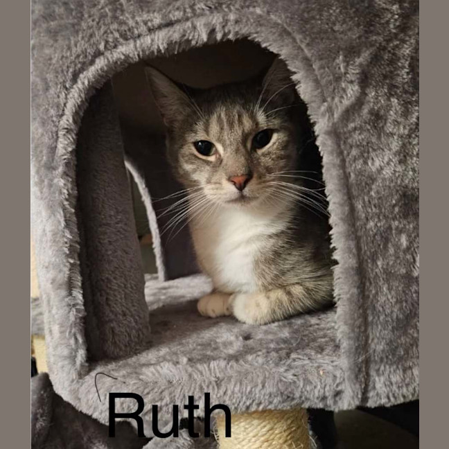 Photo of Ruth And Wyatt 