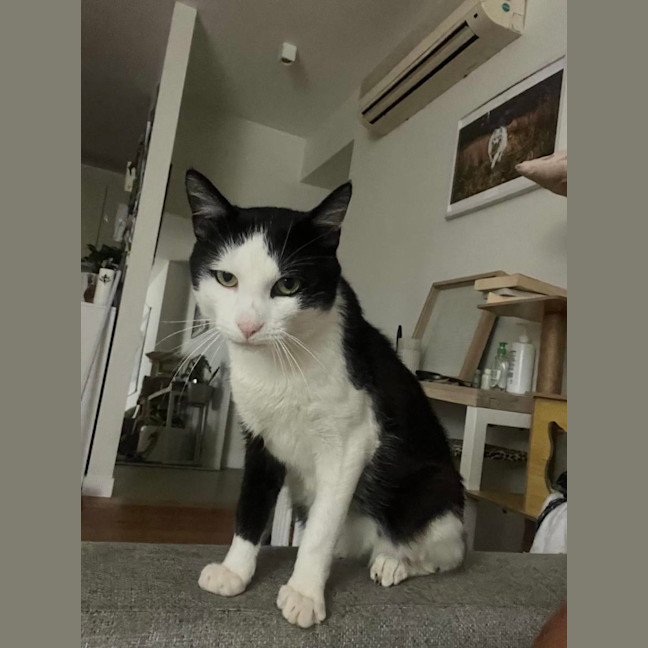 Photo of Lucky (Black & White)