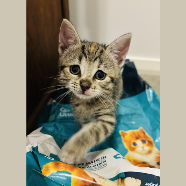 Photo of Peggy