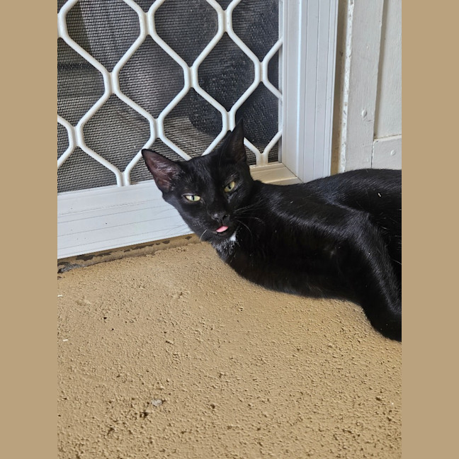 Photo of Clawdia