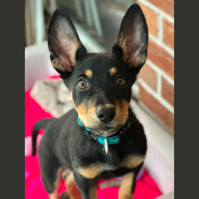 Photo of Timberglades