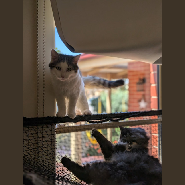 Photo of Jeffrey
