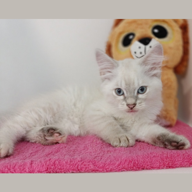 Photo of Sandie