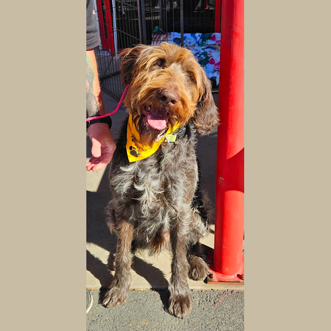 Photo of Winston