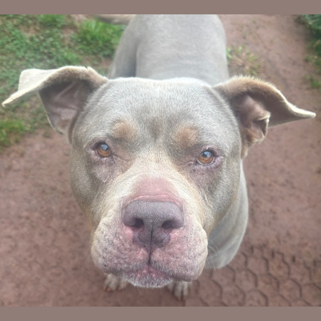 Photo of Storm