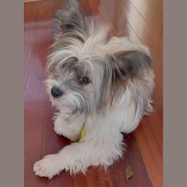 Photo of Benji & Lizzie