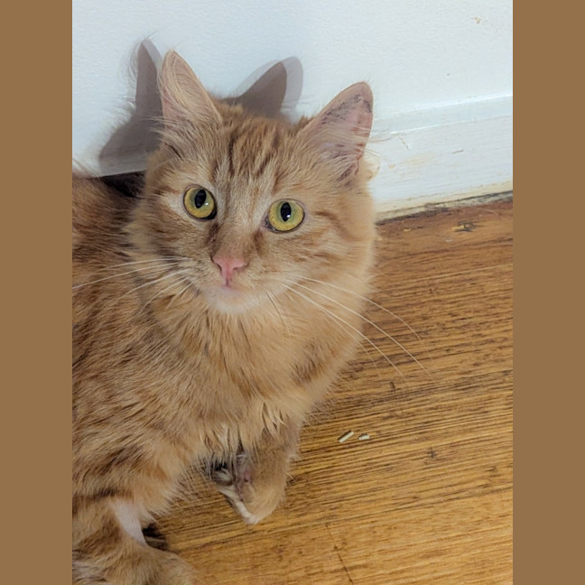 Photo of Genevieve & River