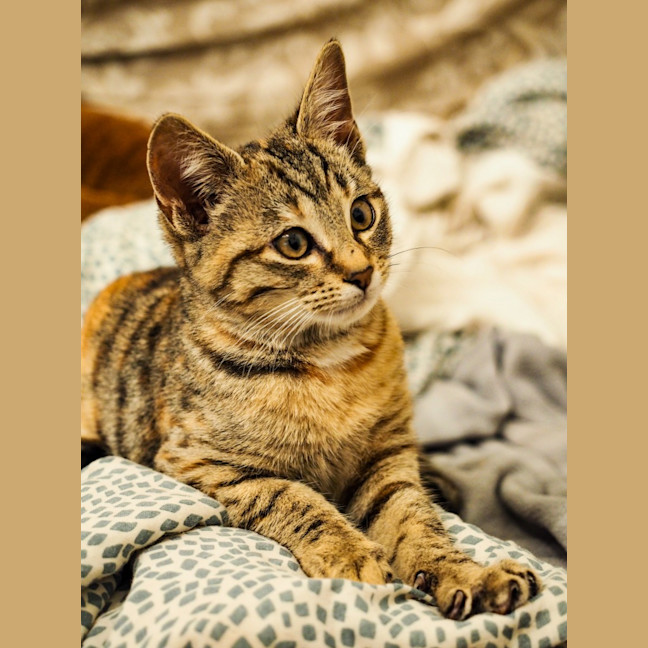 Photo of Eva
