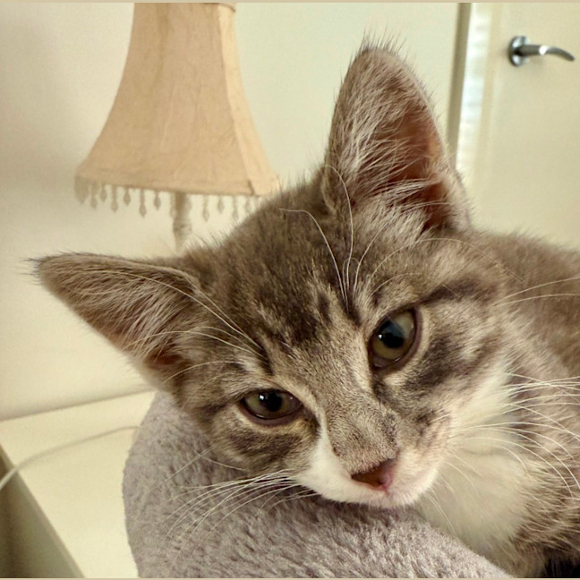 Photo of Bobbi