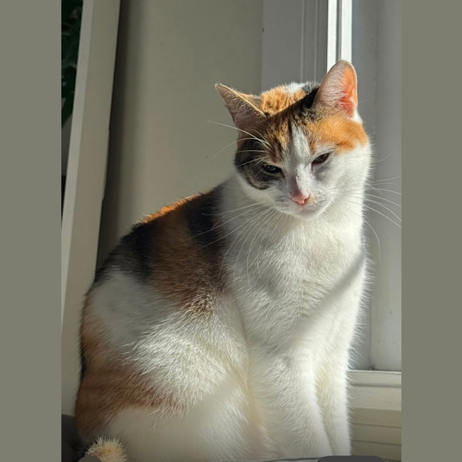 Photo of Pippa