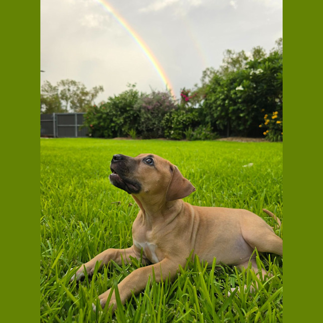 Photo of Sadie