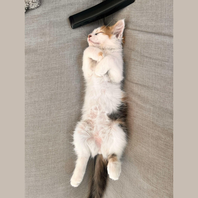 Photo of Betty