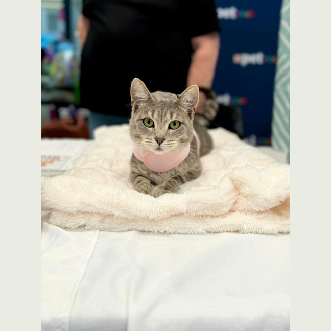 Photo of Lilu 