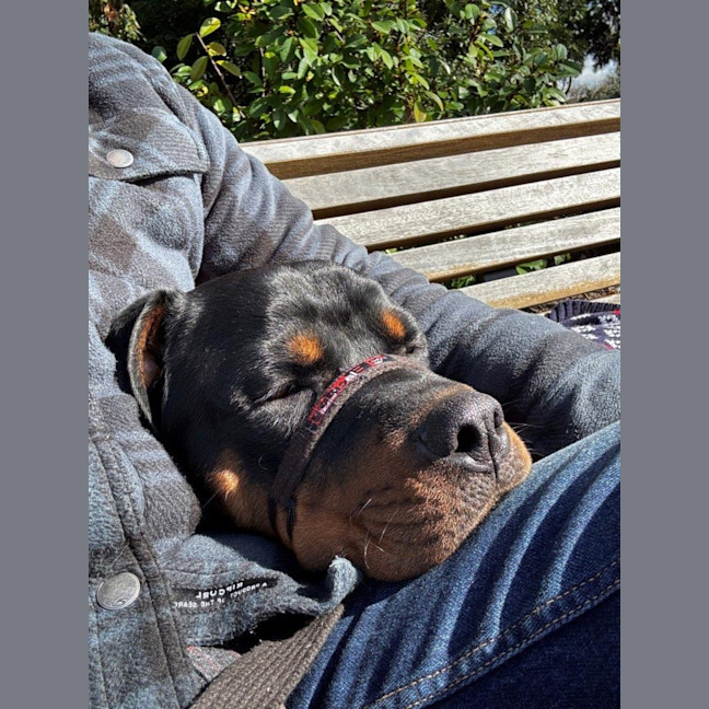 Photo of Lucky Newhaven