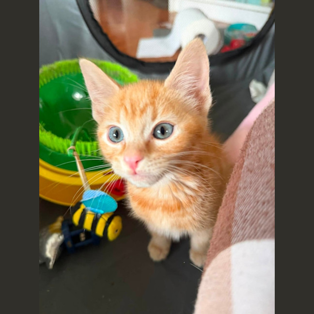 Photo of Fred