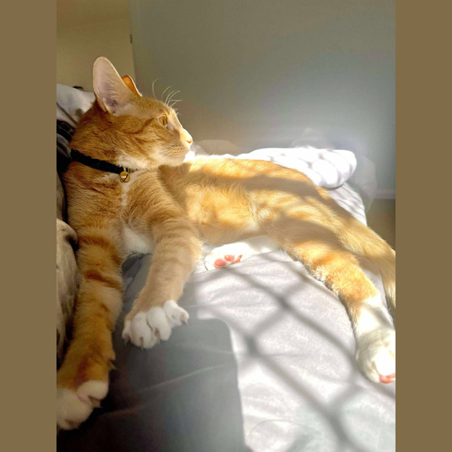 Photo of Billy