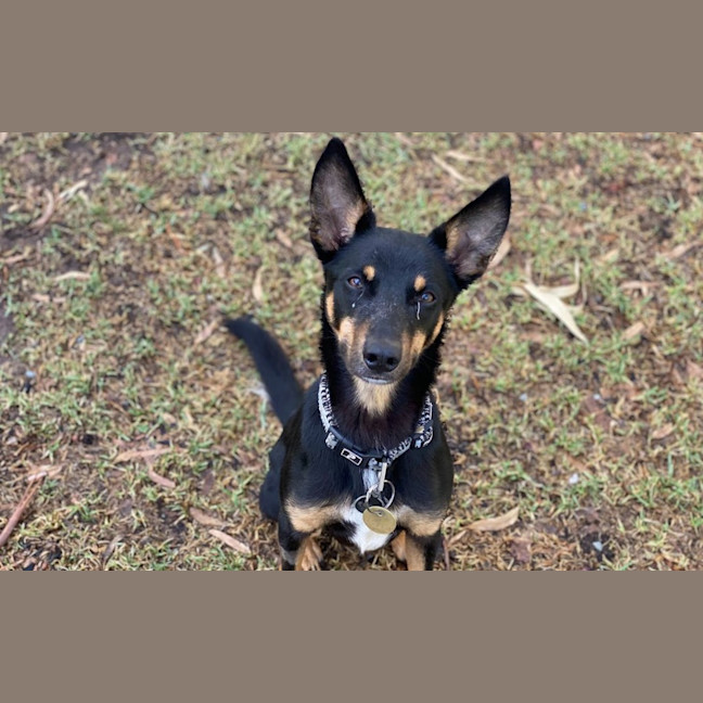 Photo of Cowboy