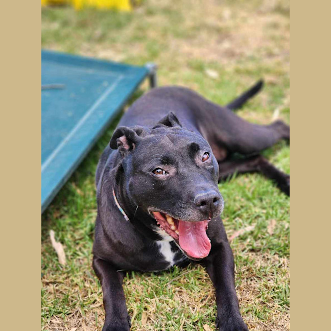 Photo of 🍂 Sienna 5634 🍂