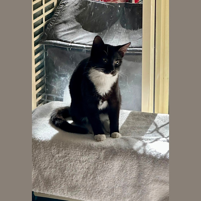 Photo of Benny