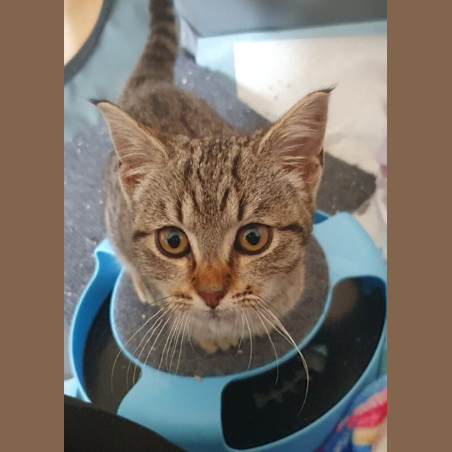 Photo of Mei Mei