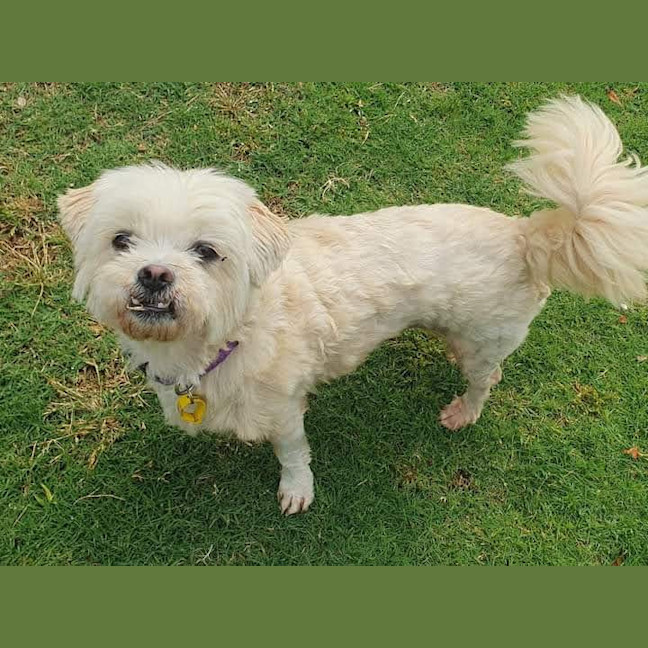 Photo of Roxy