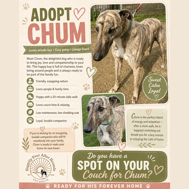 Photo of Chum