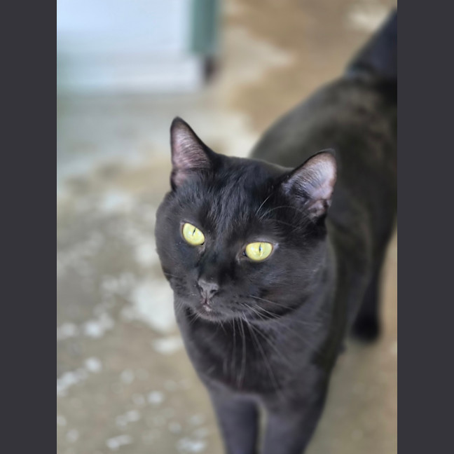 Photo of Colin