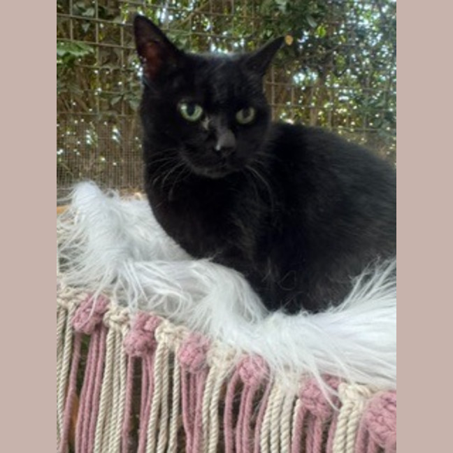 Photo of Molly