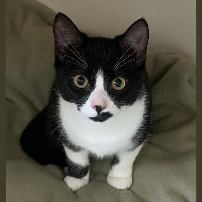 Photo of Hazel