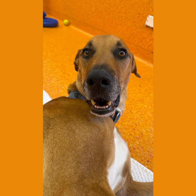 Photo of Kronos