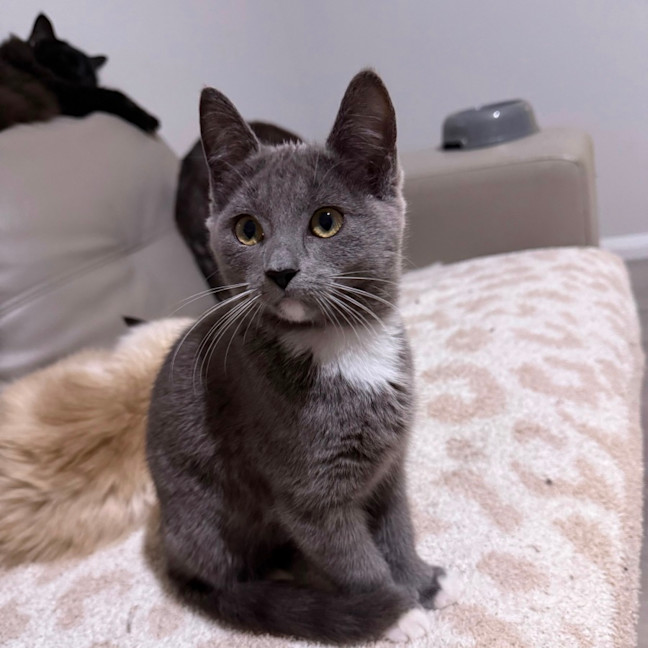 Photo of Arya 🪻💜