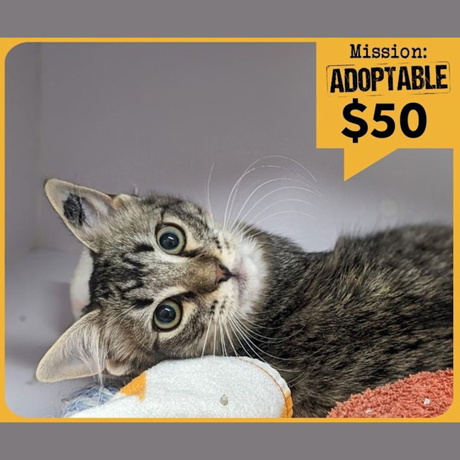 Photo of Empress Wrecking Ball