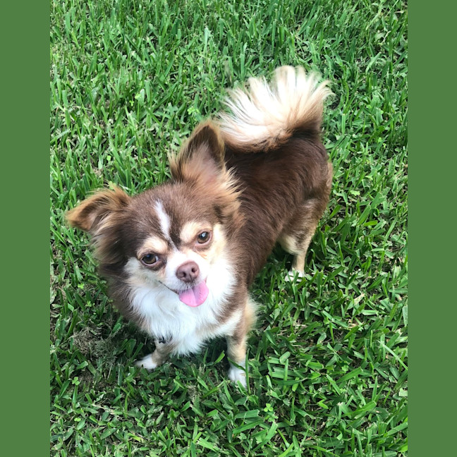 Photo of Bobbie