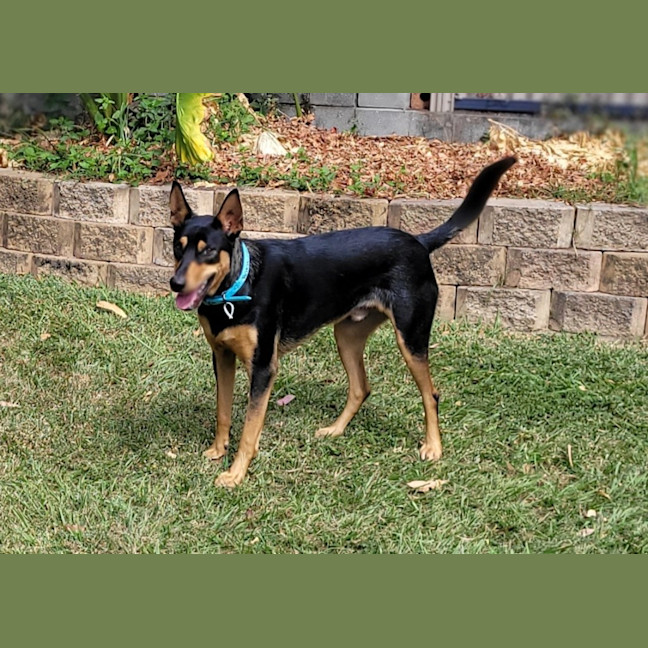 Photo of Charlie
