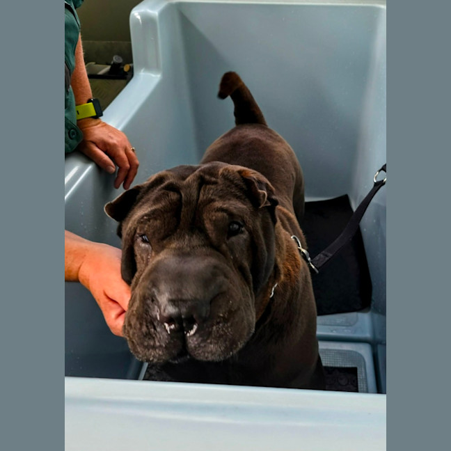 Photo of Molly & Sid