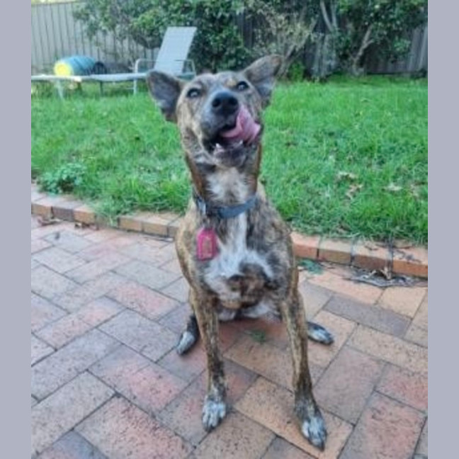 Photo of Artemis