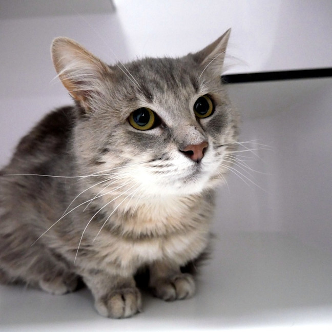 Photo of Bruce Sua013319