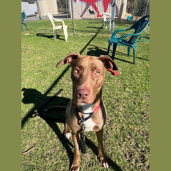 Photo of Zoe