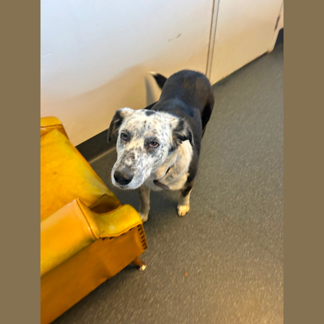 Photo of Kung Fu Panda 