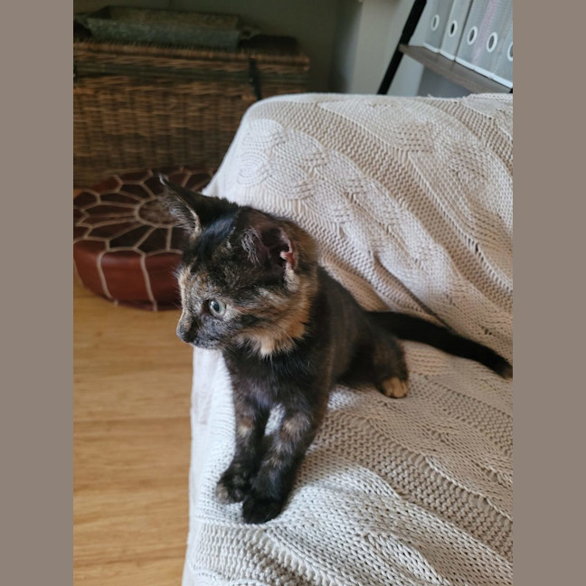 Photo of Ginny